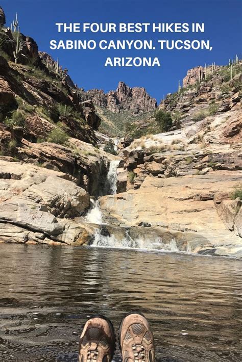 The Best Hikes In Tucsons Sabino Canyon Arizona Hiking Sedona
