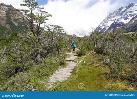 Trail To Cerro Torre At The Los Glaciares National Park Argentina