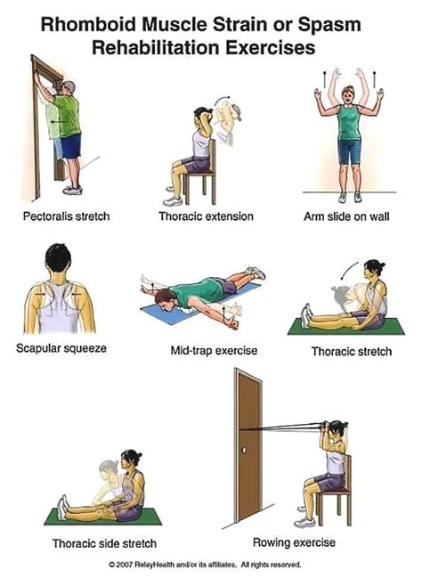 Bicep Tendonitis Exercises Artofit