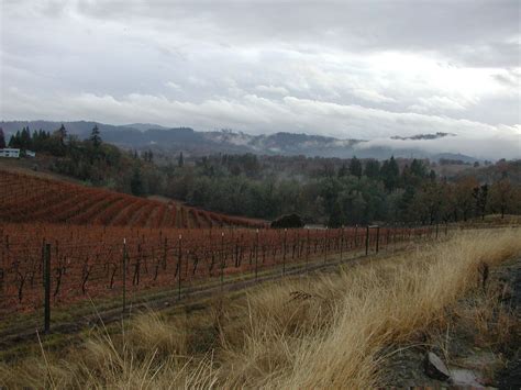 Oregon Wine Country In The Umpqua Valley Oregon Wine Oregon Wine