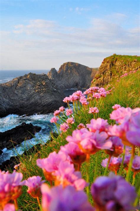 We hope you enjoy our growing collection of hd images to use as a background or. Floral mountains - image #2214508 by LADY.D on Favim.com