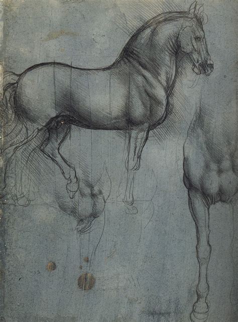 Marie Dauenheimers Art And Anatomy Blog Da Vinci Drawings Horses