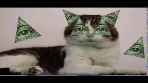 Only the best hd background pictures. Best dank meme Mlg montage Cats are Illuminati - YouTube