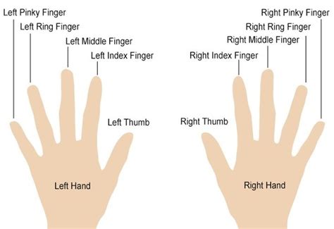 Do you wear rings other than a wedding band? What fingers should I wear my rings on? (Female) - Quora