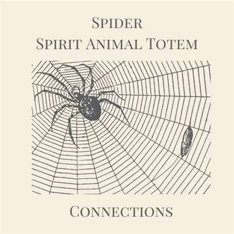 Spider Spirit Animal Totem Spider Medicine Power Animal Teachings