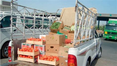 Drive To Ensure Vehicles Transport Food Safely News Khaleej Times