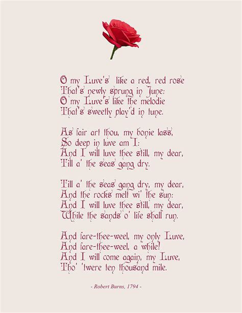 Robert Burns Poems Red Red Rose Robert Burns The Ploughman Poet