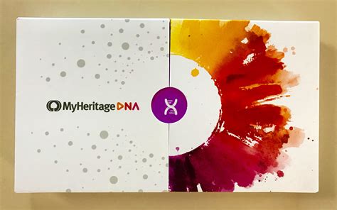 Review Of The Best Ancestry Test Myheritage Dna Kit Elysian Moment
