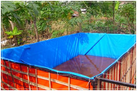 Tujuannya agar kolam renang tersebut tetap nyaman digunakan serta baik untuk kesehatan. Cara Membuat Kolam Ikan yang Efektif Agar Panen Melimpah ...