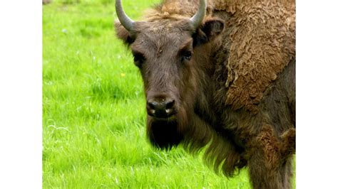 « état des communes à la fin. P1000211.JPG " Bison Futé ", - Geo.fr
