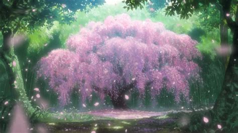 Sakura Cerezo Anime Cherry Blossom Anime Scenery Anime Scenery