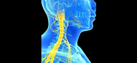 Nerve Compression Syndromes Personal Injury Medical Experts Lien
