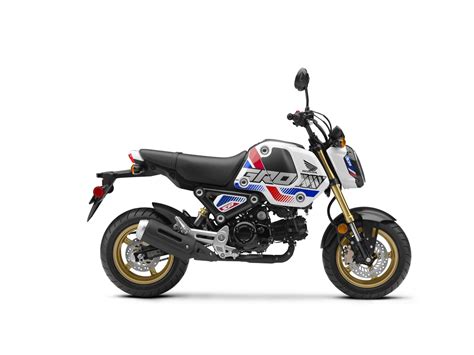New 2022 honda grom review of specs + new changes explained, price, colors, horsepower, specs, mpg + more! The Updated Honda Grom Finally Arrives in the USA as a ...