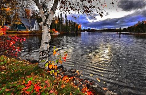 Autumn Landscape Fall · Free Photo On Pixabay
