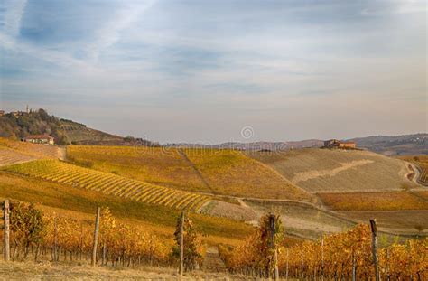 Hills Of Vineyards In Autumn In Piedmont Piemonte Italy Stock Image