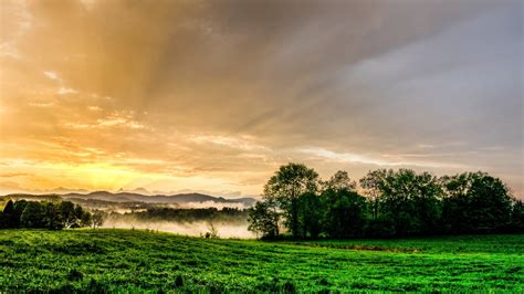 Rays Grass Fields Hdr Sunrise Trees Coolwallpapersme
