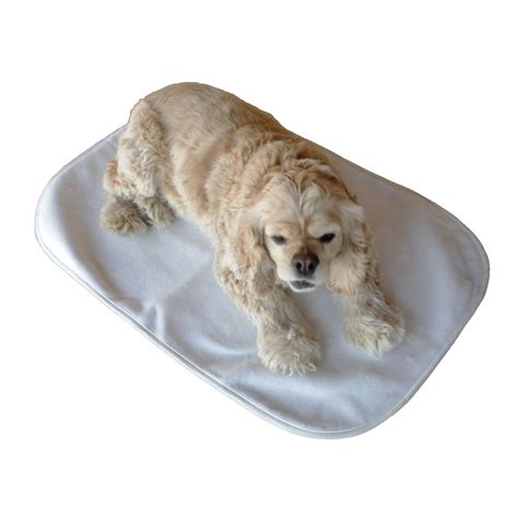 Be the first to review this item. Achy Paws™ Self-Warming Pet Mat | Pet mat, Your dog, Dog mat