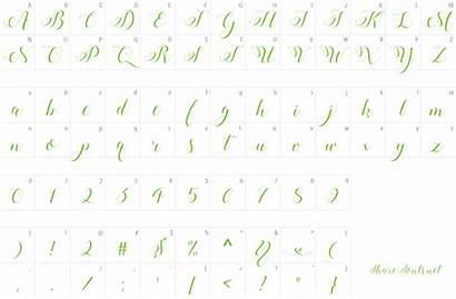 Calligraphy Stylish Demo Font Data
