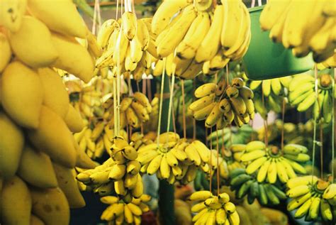 Flavor Of The Month Banana Among Fruits Bananas