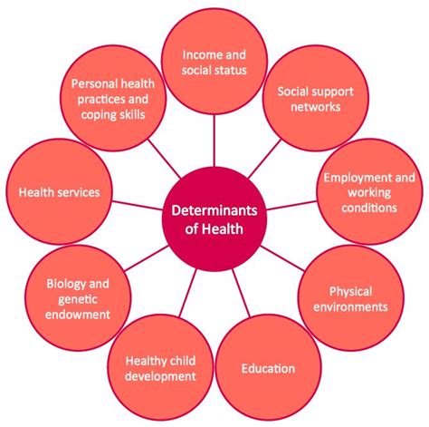 Social Determinants Of Health Social Determinants Of Health Health Health Belief Model