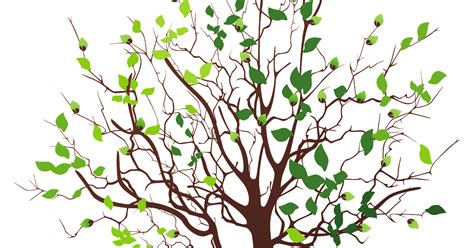 Clip Art Of Budding Tree Png Clipart