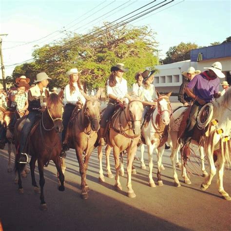 Well, a camel is a horse designed by a committee. Pin on Horses.........getting back to my roots!