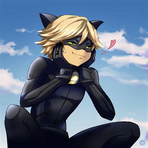 drawing of cat noir cat meme stock pictures and photos