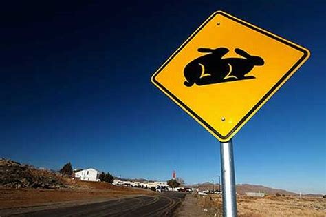 Top 30 Funny Road Signs From Around The World