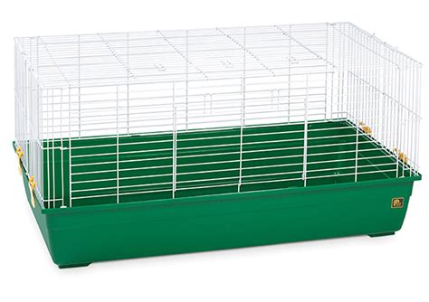 Best Indoor Guinea Pig Cage Models Reviewed With Tips For Choosing