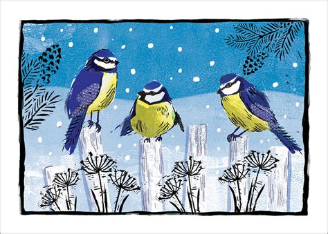 Amnesty International Christmas Cards Blue Tits Pack Of 10