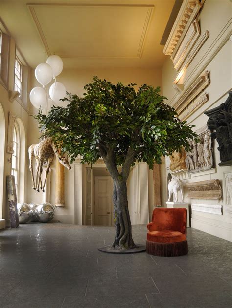 Indoor Large Tree Hire From Vowed And Amazed Natural Indoor Tree Prop