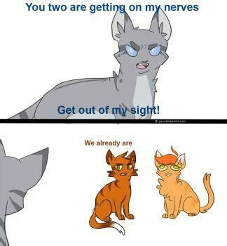 The warrior cats movie better have a scene where rusty's twolegs offer him a waffle and he hisses at them. Warrior Cat Memes - #30 - Wattpad