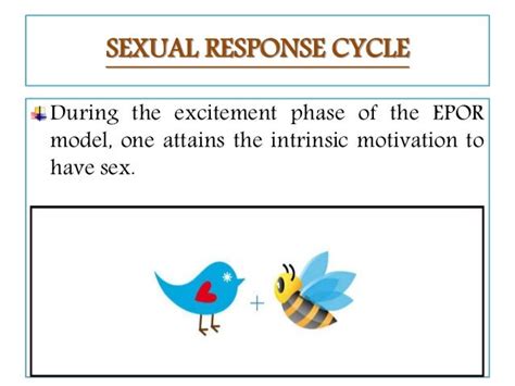 human sexuality and human sexual response cycle