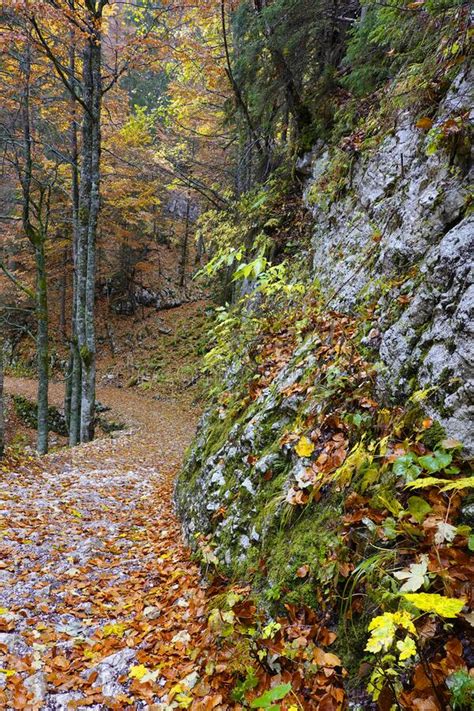 Autumn Landscape In The National Park Of Triglav Slovenia Stock Photo