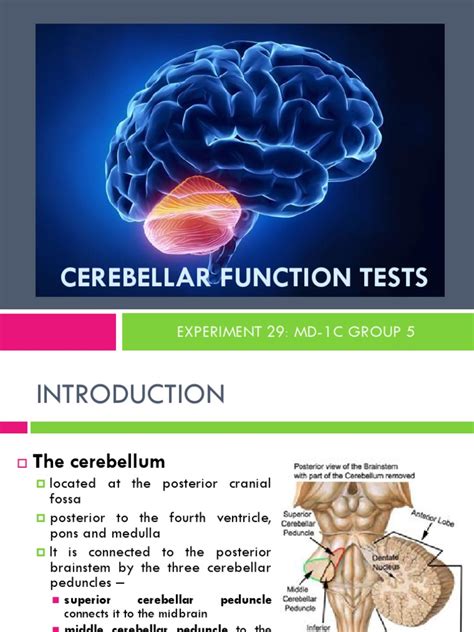 Cerebellar Function Tests Pdf Cerebellum Brainstem
