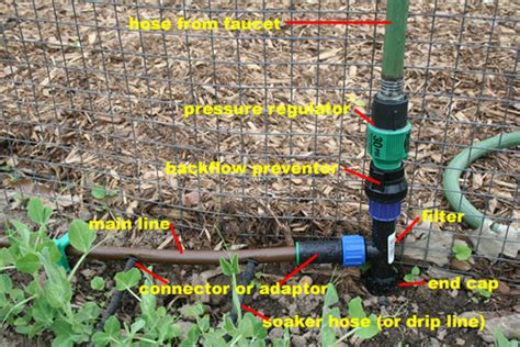 We did not find results for: Drip Irrigation Saves Time and Water | My Everchanging Garden