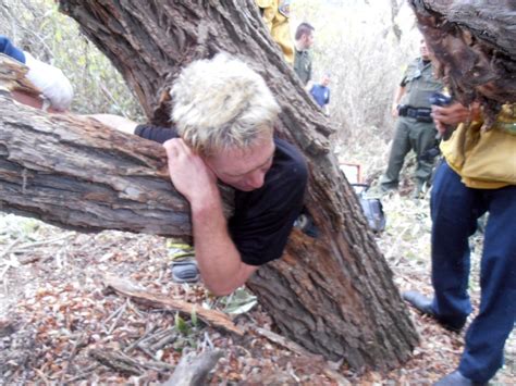 Screams Lead To Man Stuck Inside Tree In Creek Bed Orange County Register