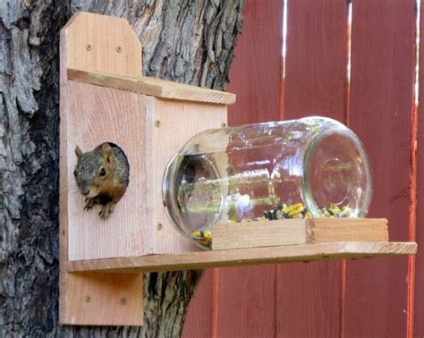 The Nut House Nuthouse Squirrel Jar Feeder Great T And