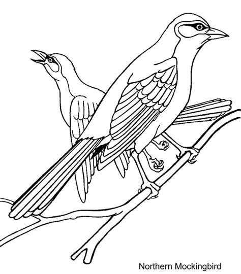 Download Mockingbird coloring page - Animals Town - Animal color ...