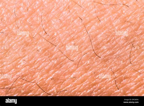 Texture Of Human Skin Extreme Close Up Macro Shot Stock Photo Alamy