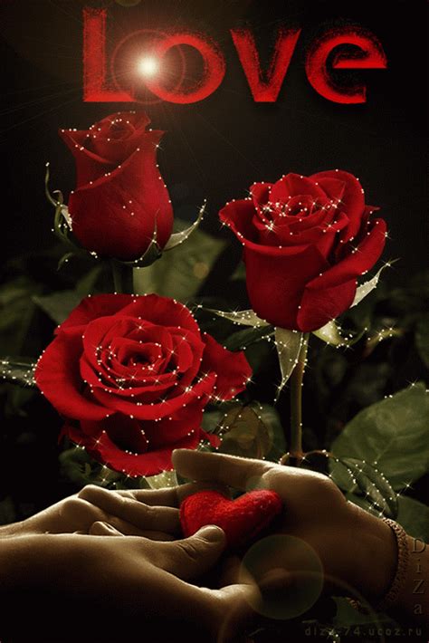 Red Roses ~~ Love Beautiful Pictures Fan Art 36544704