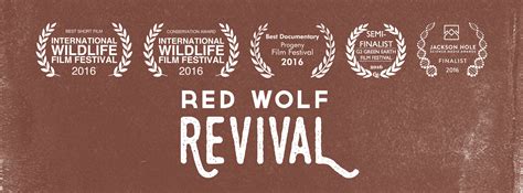 Red Wolf Revival — Madison Mcclintock