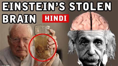 The Stolen Brain Of Albert Einstein Who Stole It Where Is Einsteins