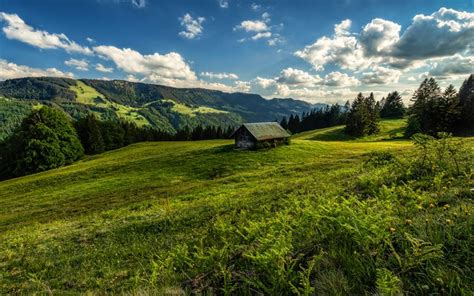 Download Wallpapers Germany 4k Summer Meadow Mountains Bavaria