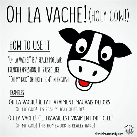 Oh La Vache French Slang French Grammar French Phrases French