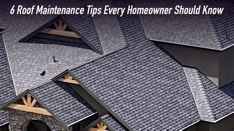6 Roof Maintenance Tips Every Homeowner Should Know The Pinnacle List