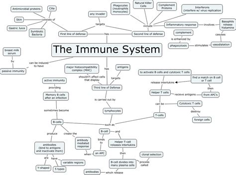 Immune System Home