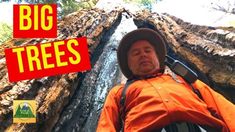 Follow hiking trails from meandering strolls through the big trees to vigorous explorations of remote portions of the park. Calaveras Big Trees State Park - YouTube