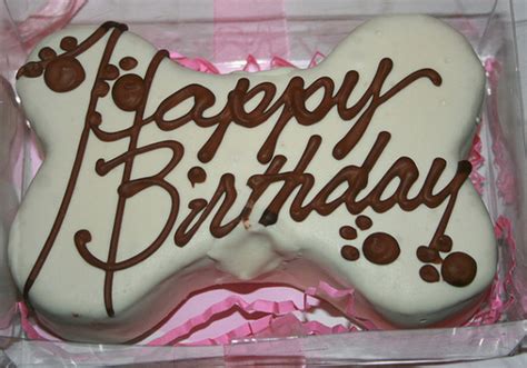 Doggie Birthday Cakes B Lovely Events