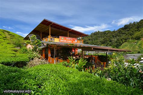 Big red strawberry farm does not charge entrance fees and provides free parking. Cameron Valley